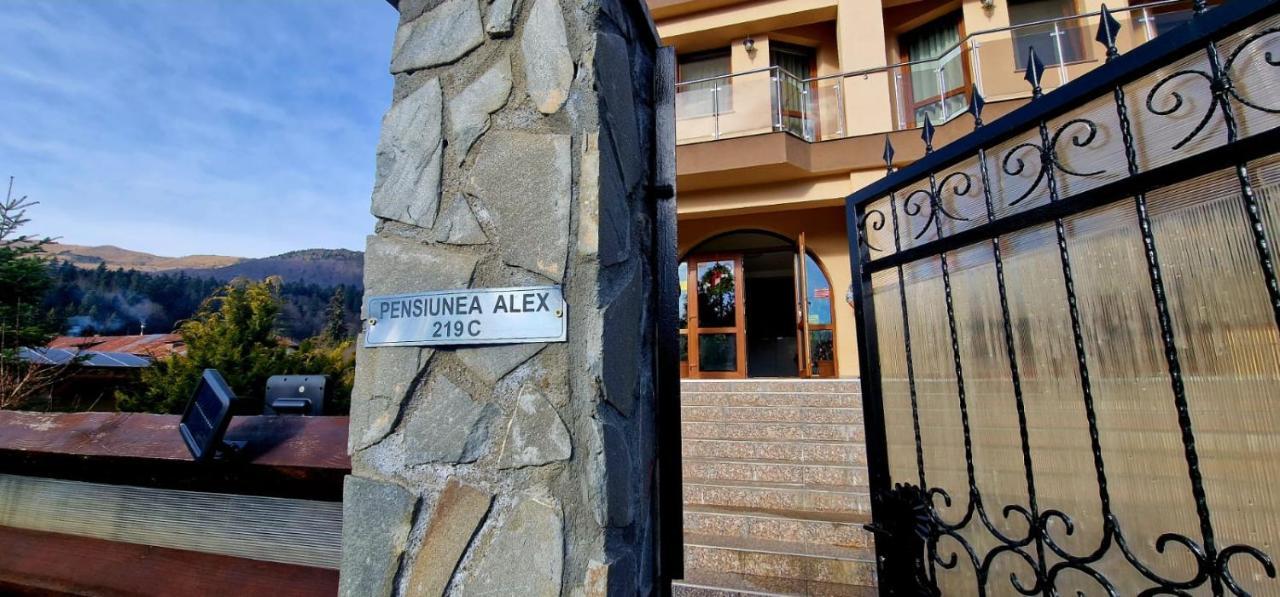 Pensiunea Alex Cheia  Εξωτερικό φωτογραφία